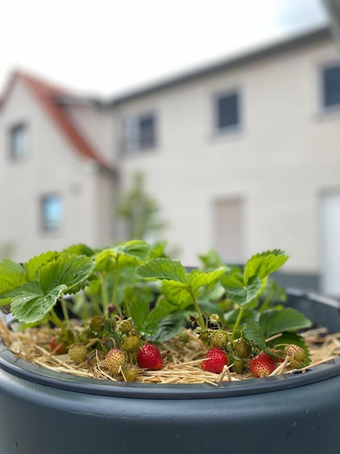 Ferienwohnung FeWo Sulzer Siedlung Erfurt Haus 6 Exterior foto